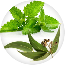 Huiles essentielles de menthe, cannelle, eucalyptus - Soulagement naturel des articulations
