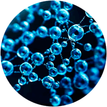 Glucosamine et Chondroïtine - Renforcement du cartilage et des articulations