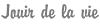 HondroLife - Crème pour Articulations