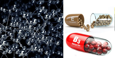 HondroLife – E- és B3-vitamin, panthenol, allantoin